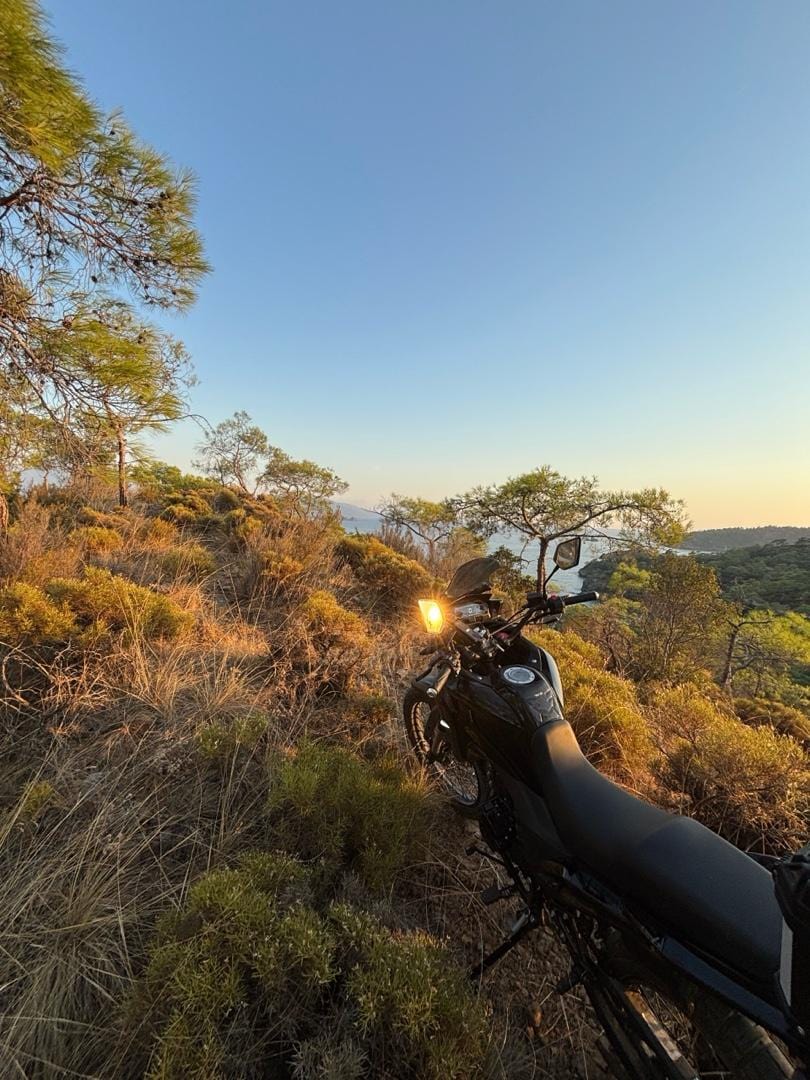 rks blackwolf 250 Mayıs 2026 çıkışlı garantili 650 km de - 5
