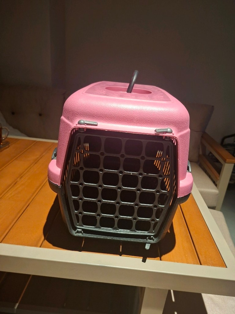 Kedi malzemeleri - 7