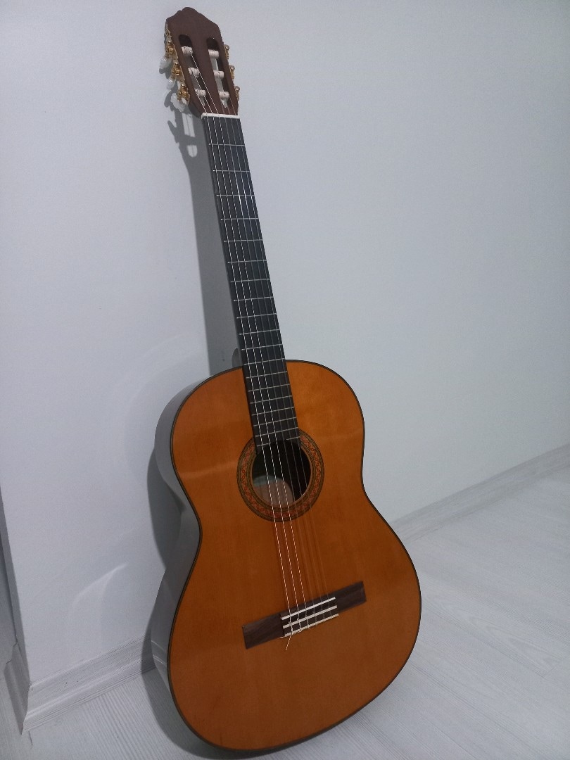 Yamaha Klasik Gitar - 10