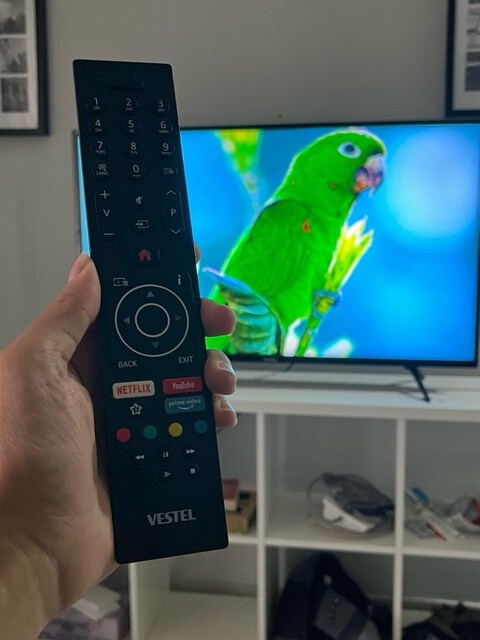 Vestel 4K Çiziksiz 43 inç Televizyon
