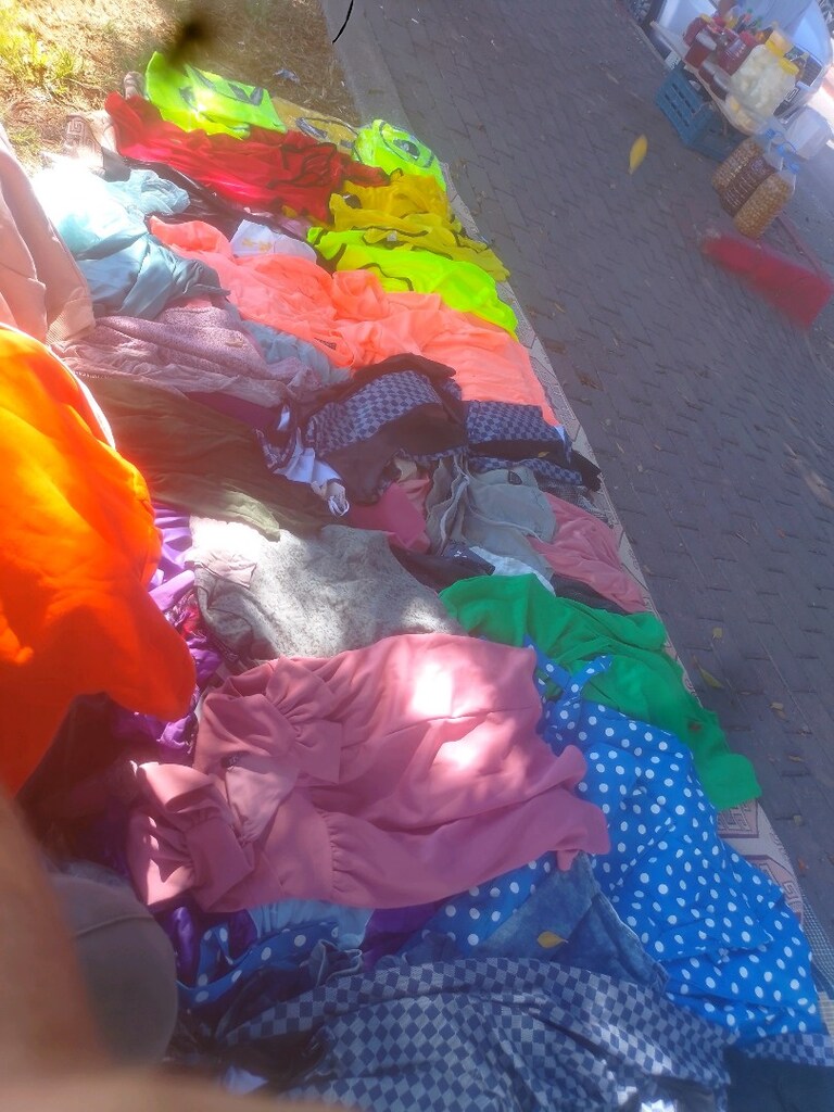 1500 parça bayan çocuk elbiseler, tişört, şort - 2