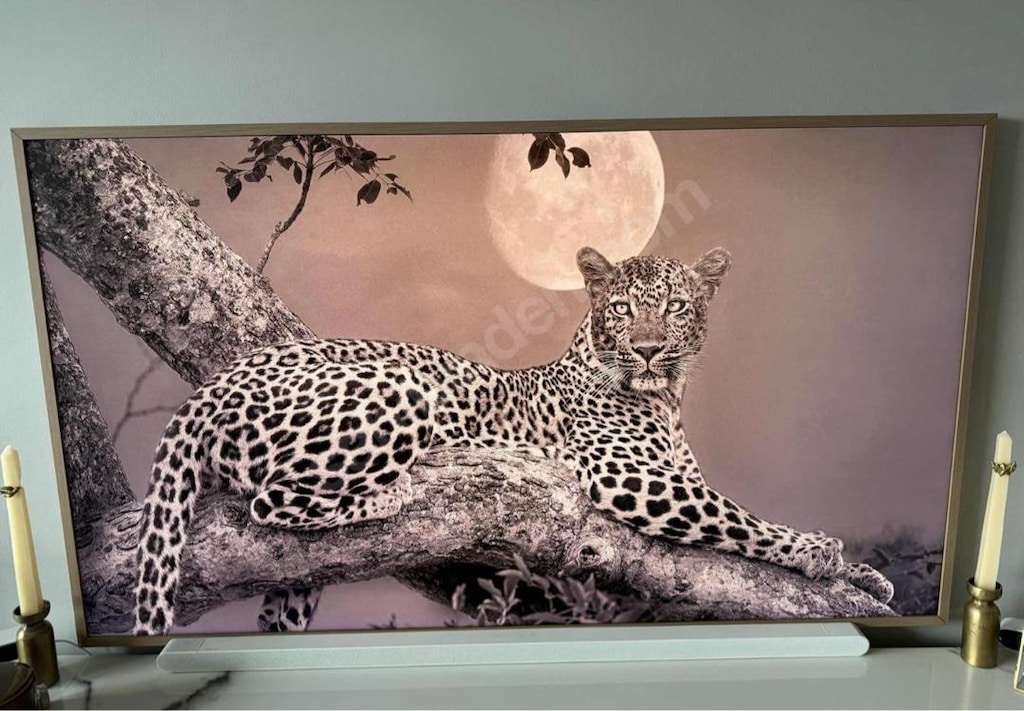 Samsung frame tv 65 inch