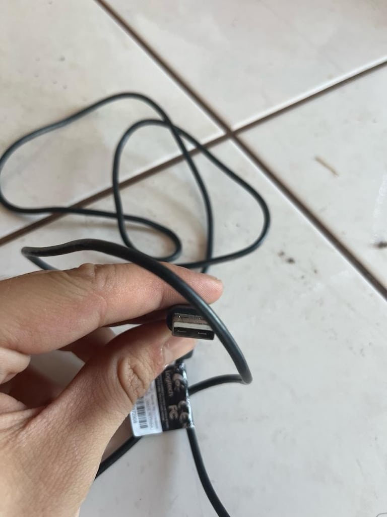 Logitech C170 web kamerası - 6