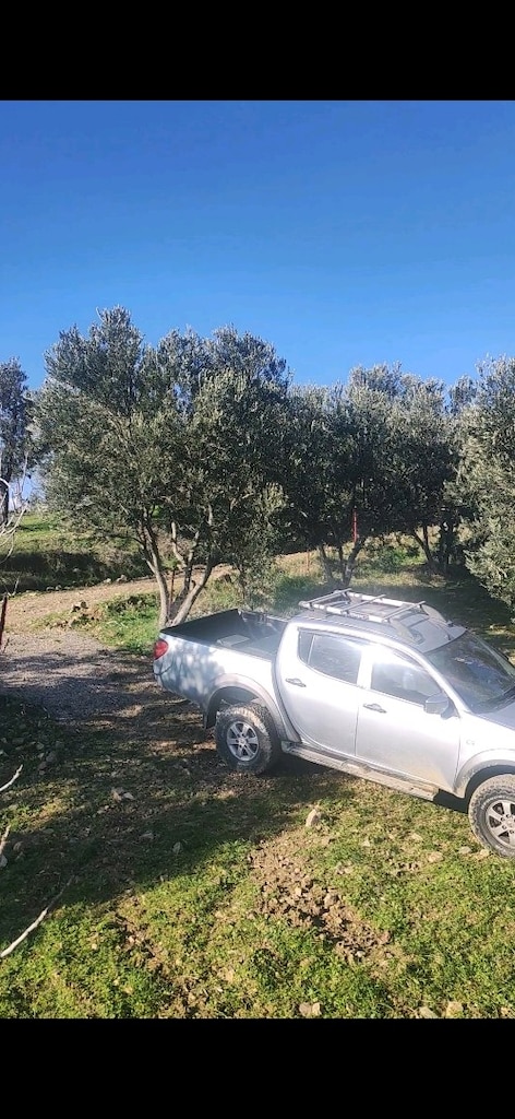 3 dönüm 120 metrekare zeytinlik - 4