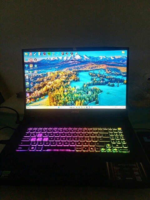 MSI Katana 17 HX B14WGK-046XTR Gaming Laptop