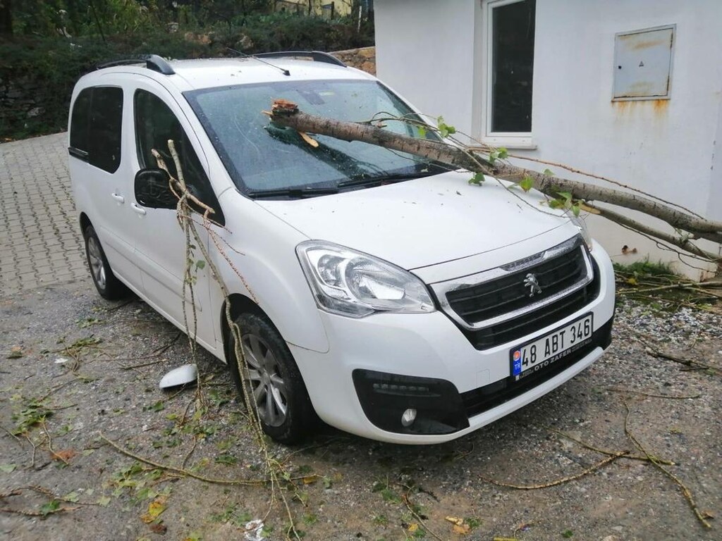 temiz pevgeot partner - 10