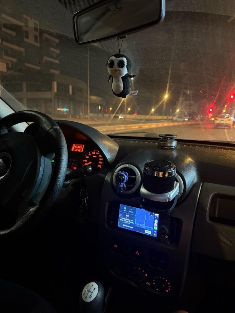 Bayandan Daica sandero - 5