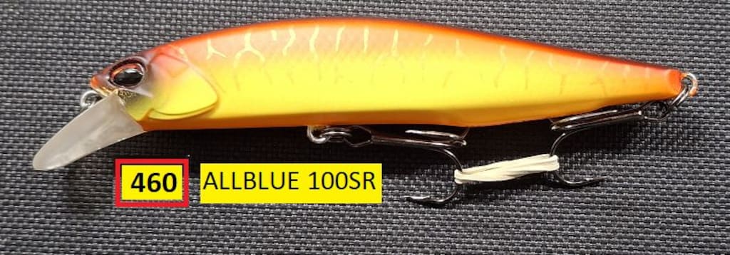 ALLBLUE 100SR Maket Yem ( Rapala ) 6 adet.OLTA141 - 2