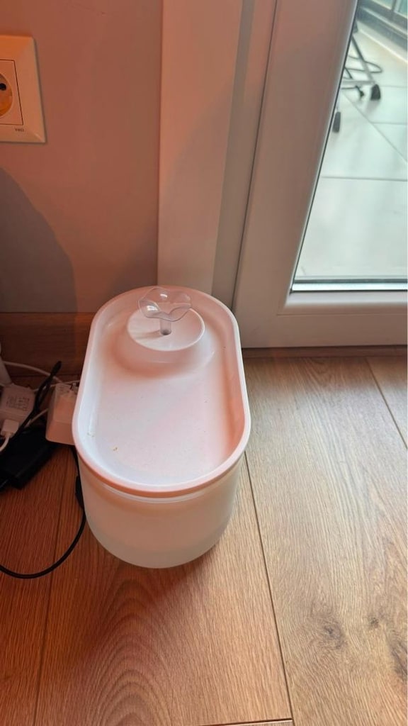 xeon 3 lü kedi malzeme - 3