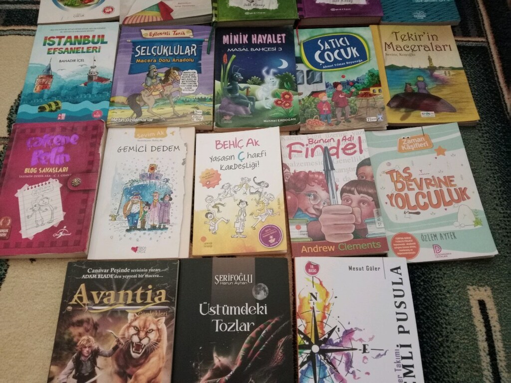Orta okul için keyifli eğitici kitaplar - 4