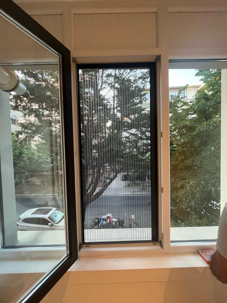 SİNEKLİKTE KAMPANYA - 2
