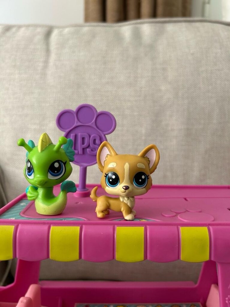 miniş kamyonu - 2