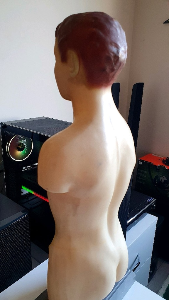 Anatomi Vücut Modeli - 5