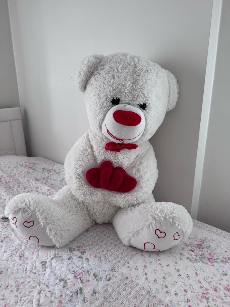 Peluş Ayı - 2