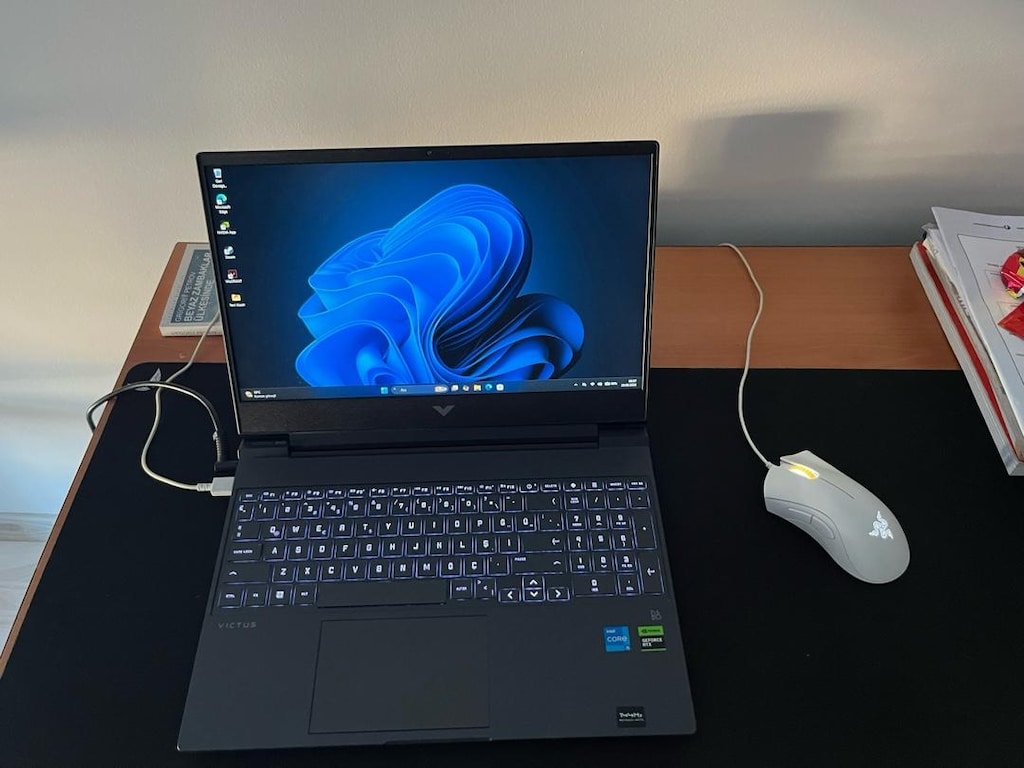 hp VİCTUS 16 4050 - 5