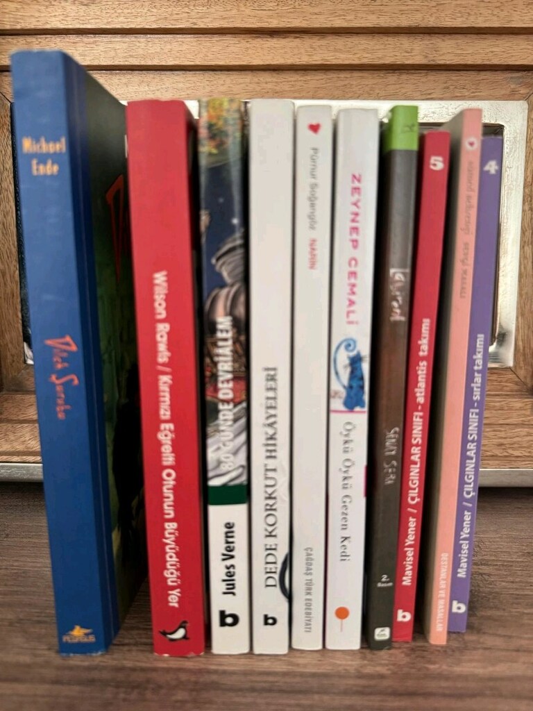 Ortaokul Seviyesi İçin Uygun 10 Önerilen Çocuk Kitabı - 2