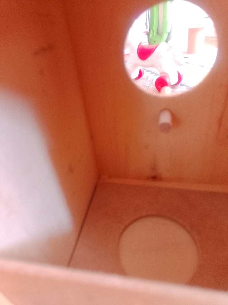 kuş yuvası folluk - 3