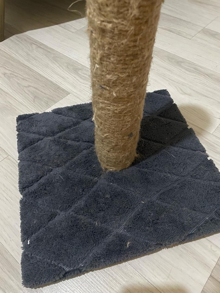 kedi malzemeleri hepsi 1350