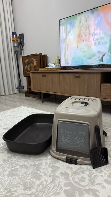 Kedi tuvaleti & kedi kum kabı
