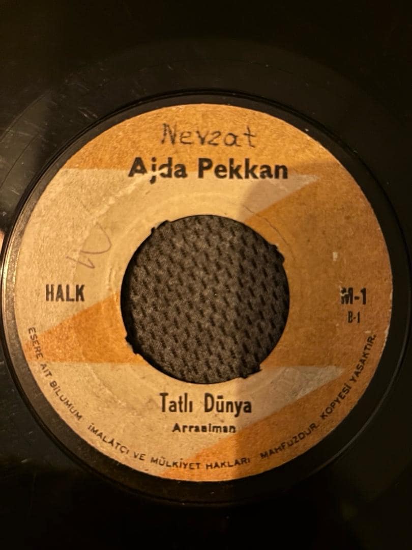 ajda pekkan 33lükleri - 11