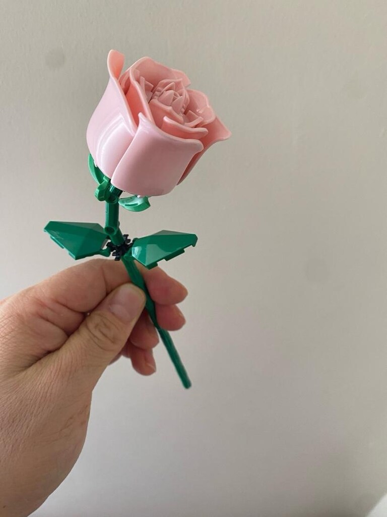 lwgo pembe gül - 6