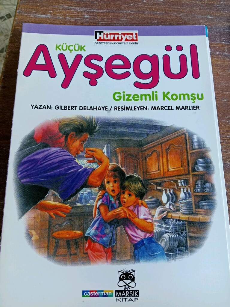 Ayşegül kitapları - 11