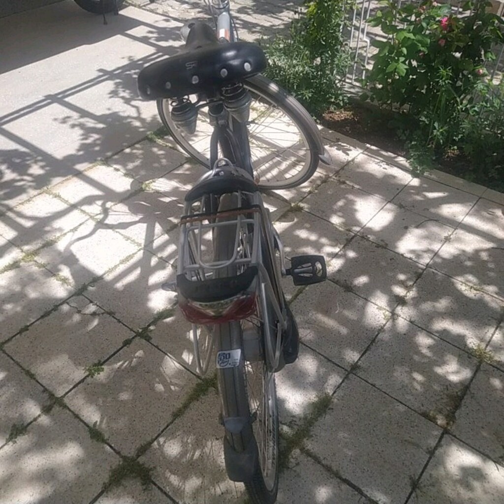 Gazelle Davos bisiklet Avrupa - 4