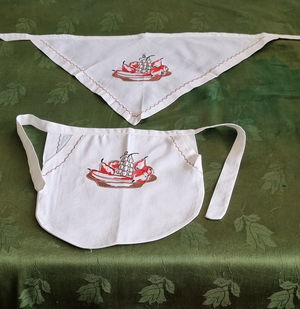 Mutfak önlüğü ve Bandana (Baş Örtüsü) - 2