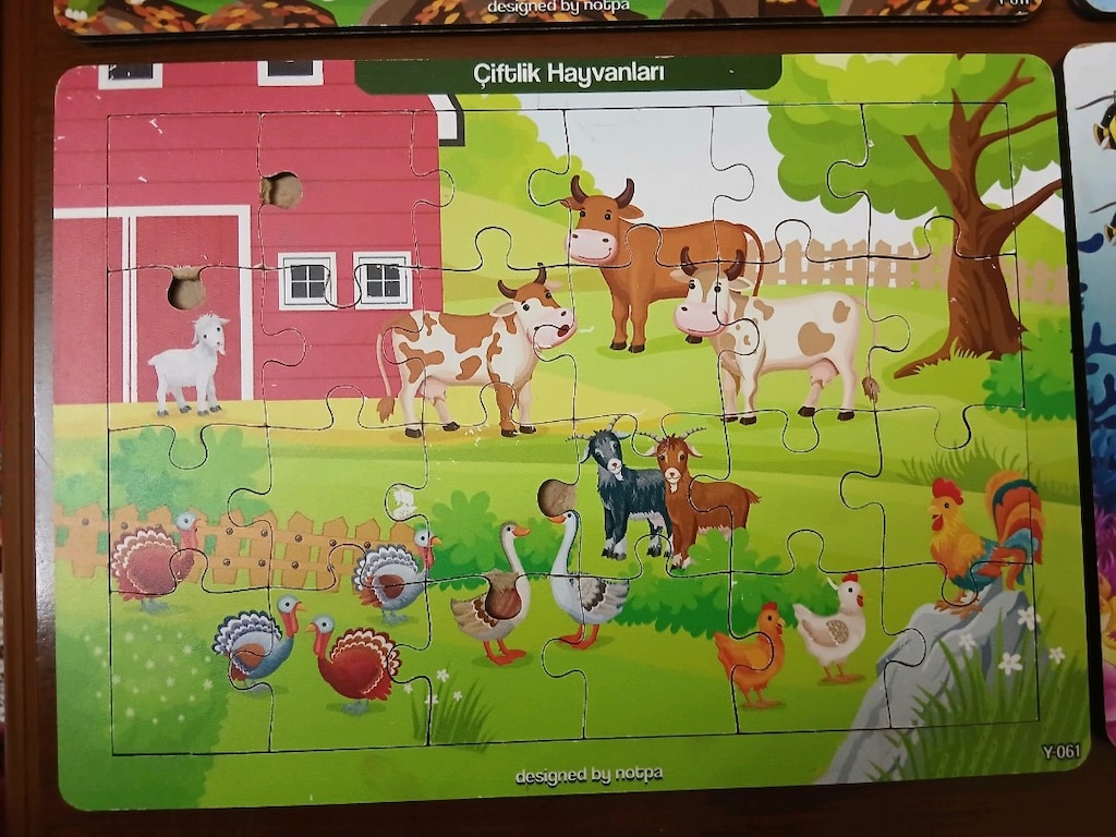 Notpa Çocuklar İçin Eğitici ve Öğretici Ahşap Renkli Puzzle 4'lü Set - 5