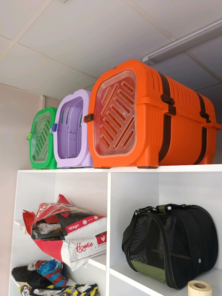 petshop ürünleri - 5