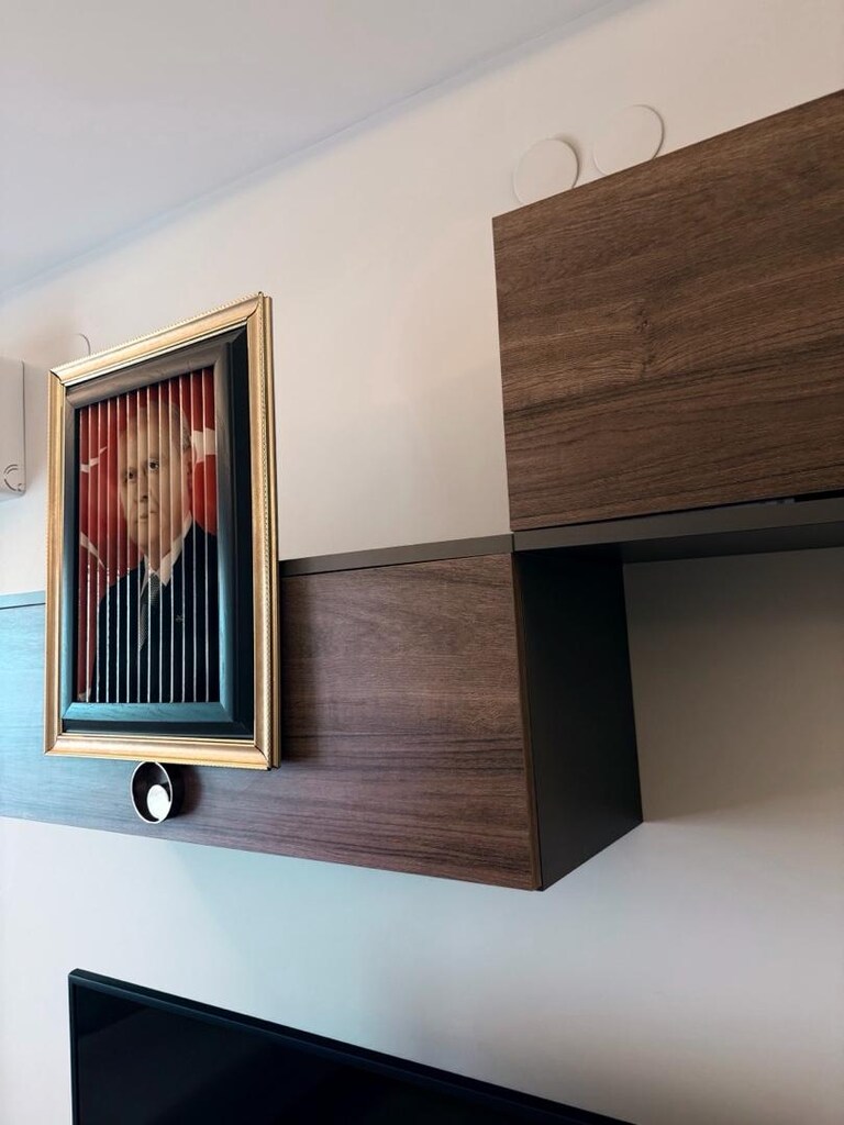 Bozkurt görünümlü 3 farklı görünümlü Koleksiyonluk tablo - 5