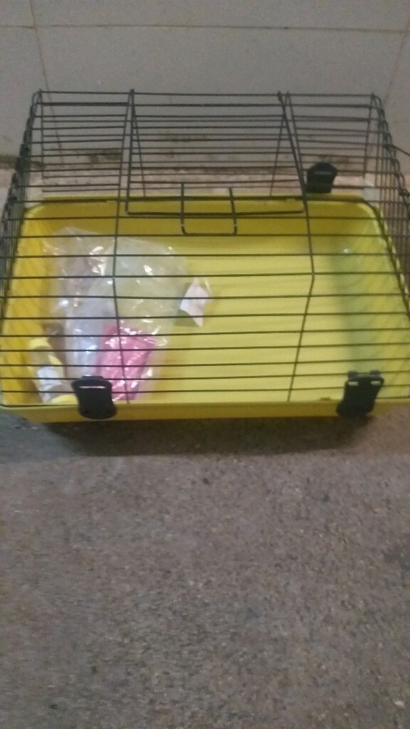 tavşan hamster kafesi sıfir - 3