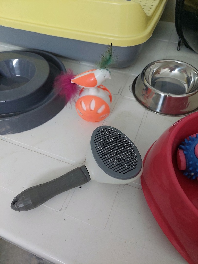 Kedi sırt çantası. Kedi tuvaleti,kedi tarağı. Kedi tablo.Kedi oyuncağı - 9