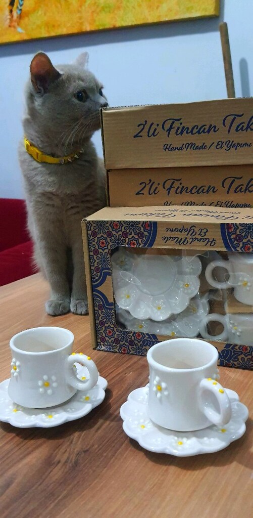2 Lİ FİNCAN TAKIMI - 5