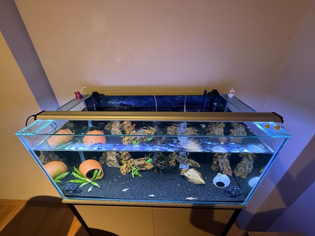 90*40*40 MOBİLYALI AKVARYUM VE BALIKLAR - 2