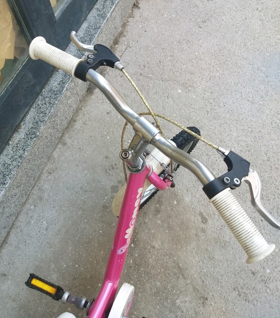 Bianchi kız çocuk bisikleti - 4