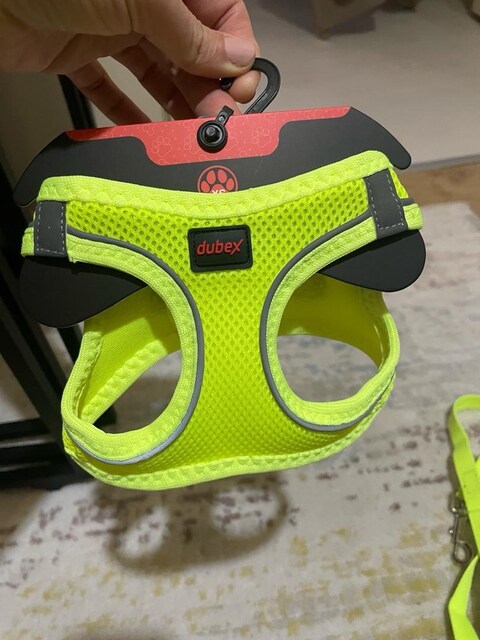 köpek göğüs tasması