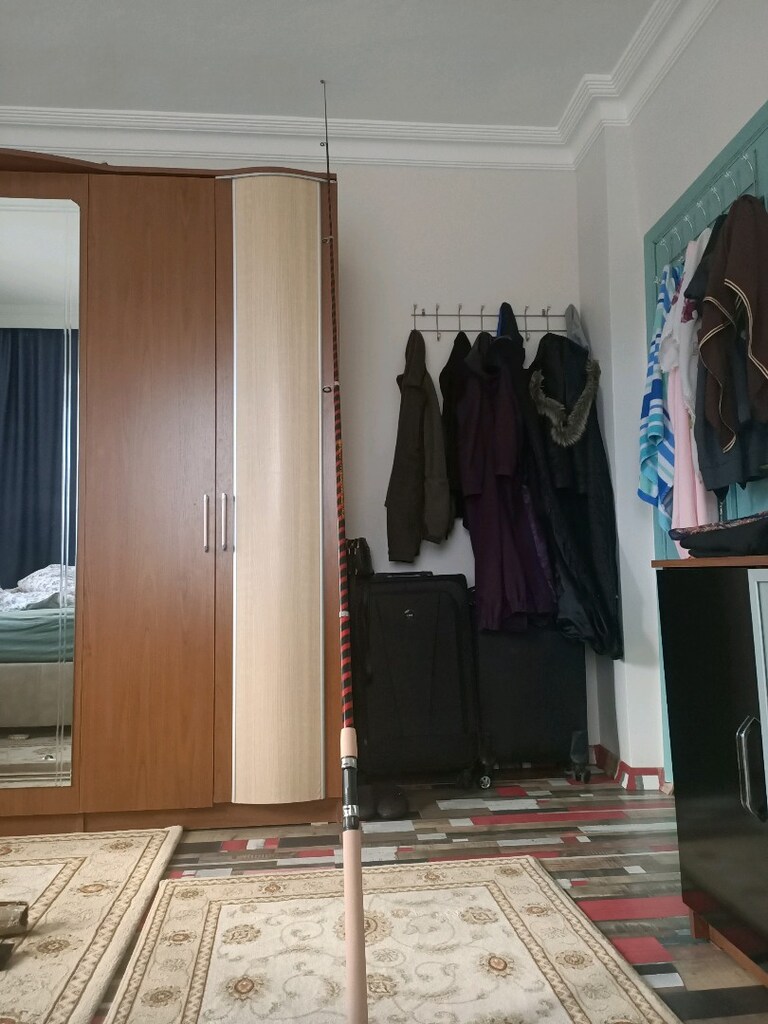 olta kamışı - 2