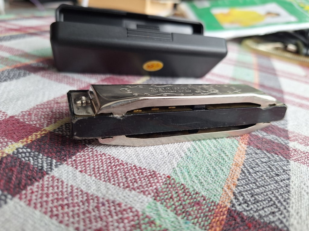 SX Blues Mızıka - 6