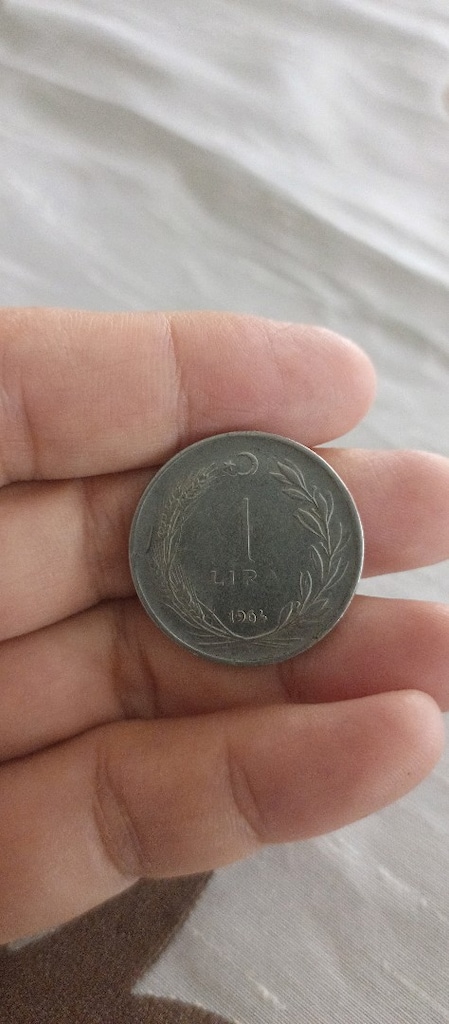 1963-64 yılına ait Demir paralar - 5