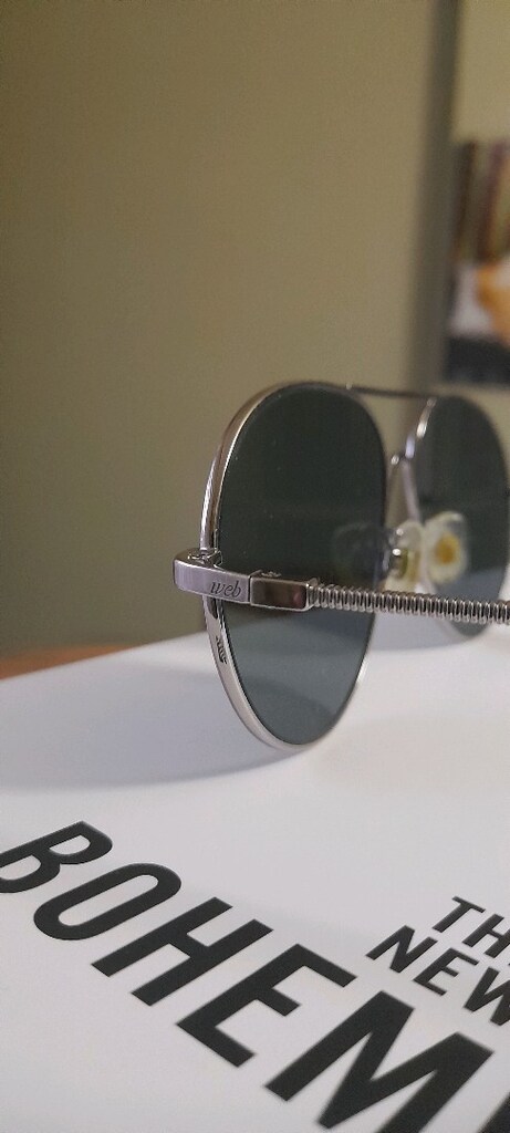 Web Eyewear Sun Glass - 3