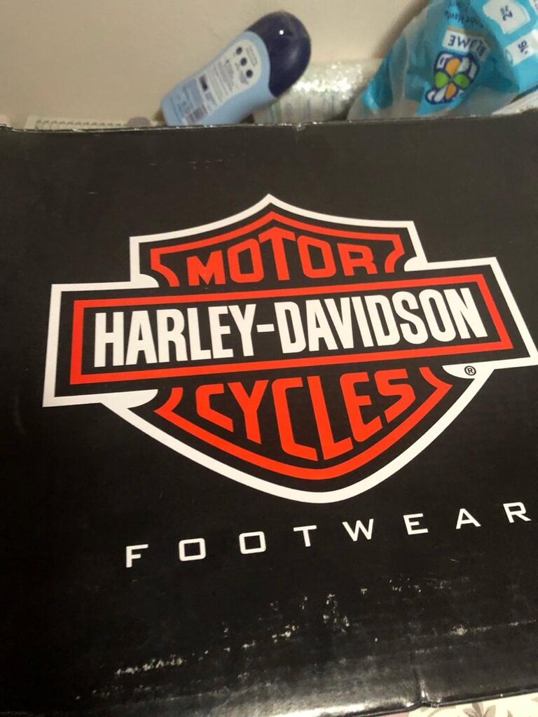 Harley Davidson Bot — görsel 5/6