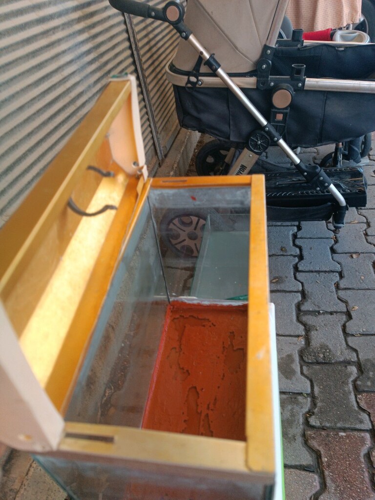 Akvaryum temiz 30/21/14.50/ ebadında yavruluk sağlam temiz alana - 5