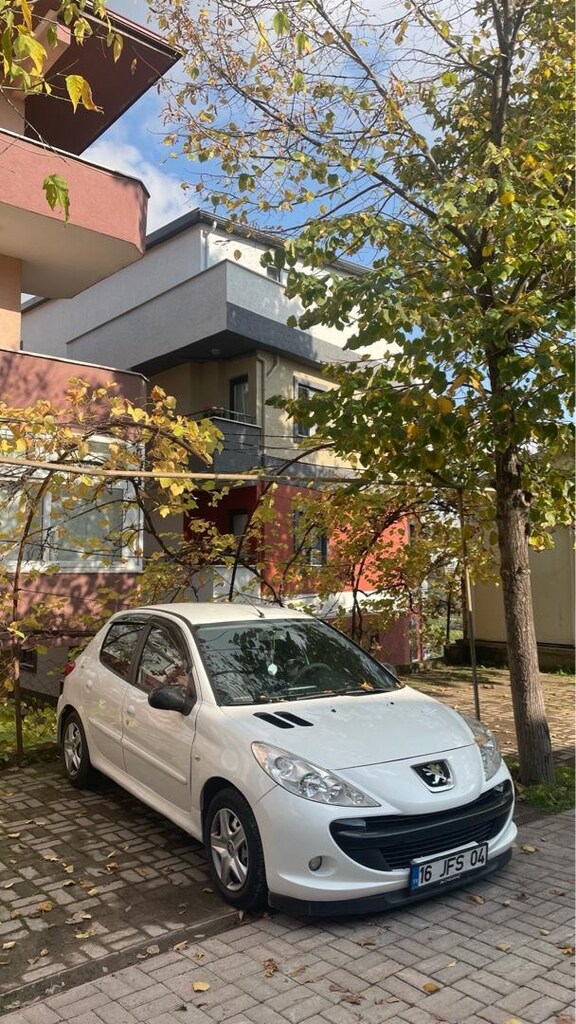Temiz 206+ - 5
