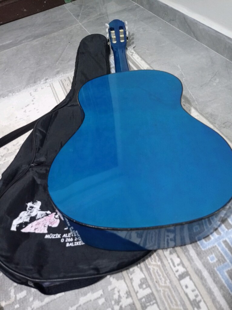 SANCHEZ GİTAR - 5