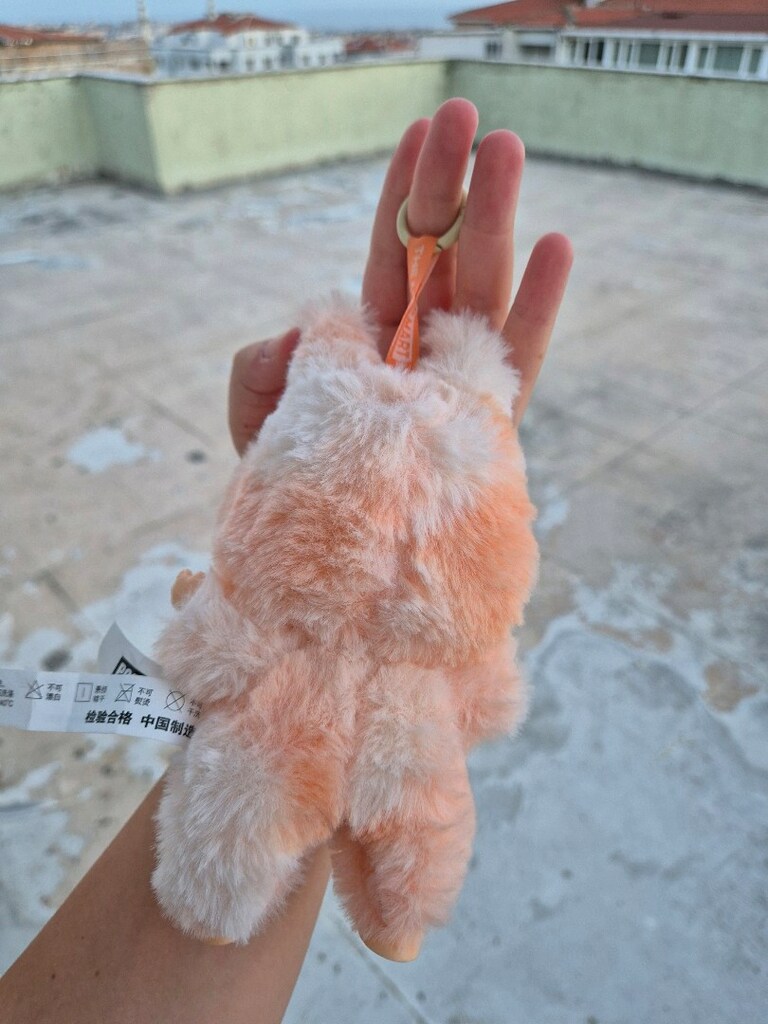 Orijinal Labubu - 2
