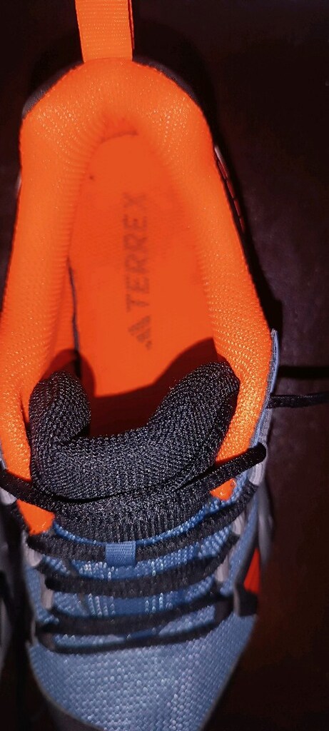 Orijinal Adidas terrex Gore - 6