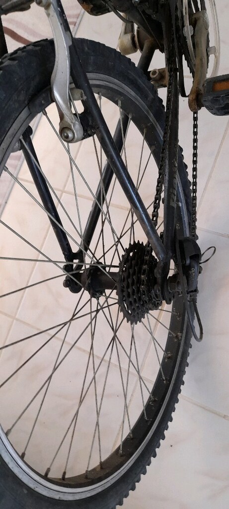 i24 inch kız bisiklet bianchi - 5