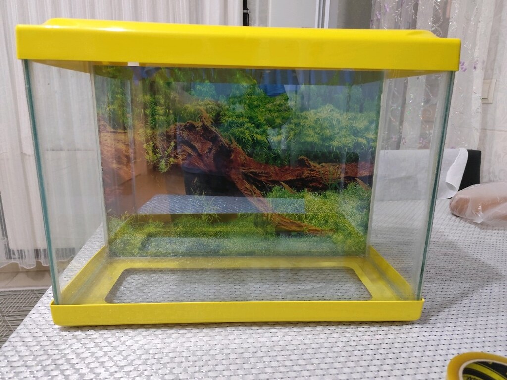 50 cm kurulu akvaryum - 4