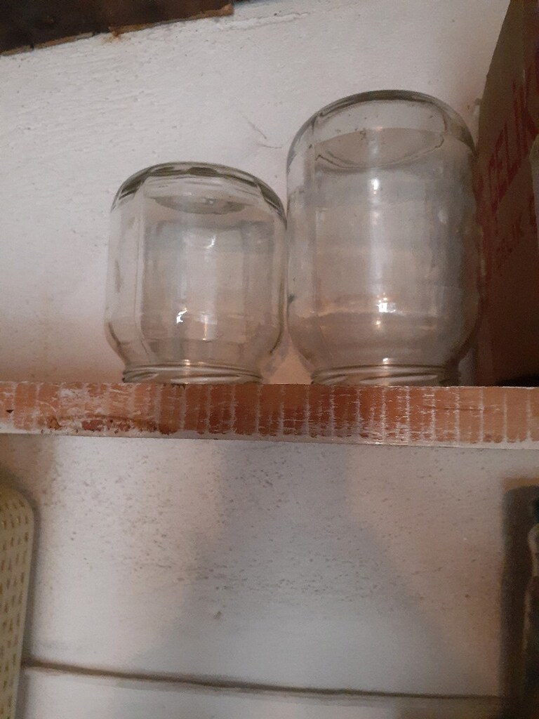 2 .3 2.5 KILOLUK KAVINOZLAR - 3